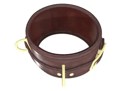 Wrist Collar Low-poly 3D model