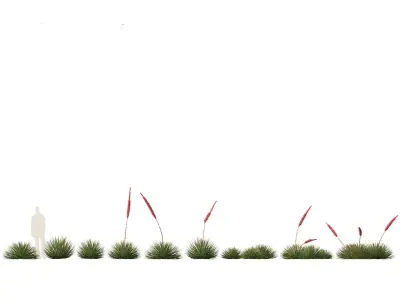 Tropical Architectural Foliage Pack 51 3D model