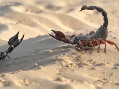  Walking Scorpion Animated Rigged for Maya 