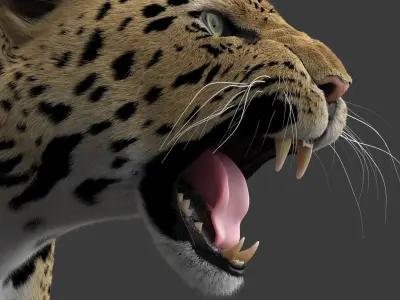  Leopard V2 Animated-Rigged-Fur 