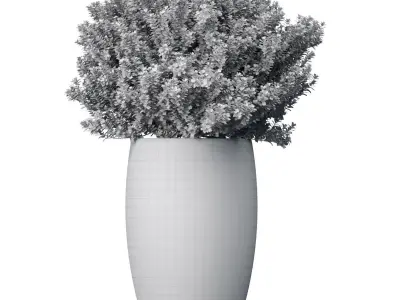 Decorative garden tree flowerbed shrub Indoor plant balcony 3D model