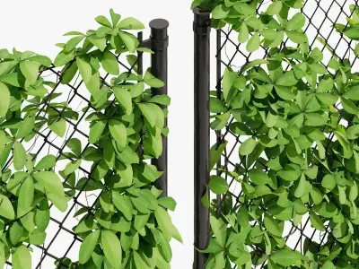 Ivy on fence three 3D model