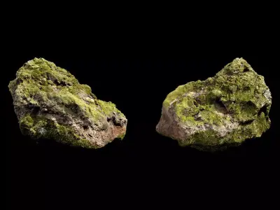 Nature Moss Rock 3D model