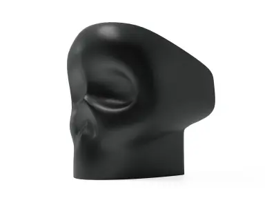 Jolly Roger Free 3D model