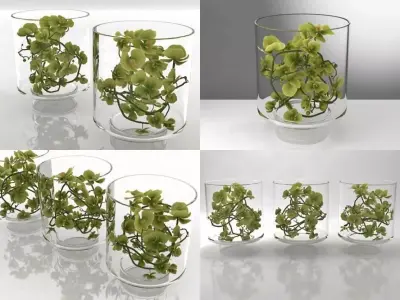 Green Orchid 3D model