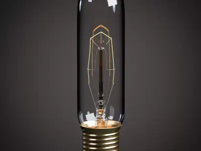 Lightbulb - T10 Tube Vintage Edison Bulb Low-poly 3D model