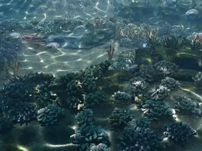  Underwater Coral Reef Habitat Ocean V3 