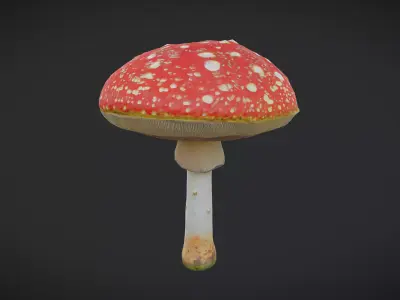 Fly Agaric 2 Low-poly 3D model
