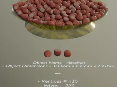 Hazelnut Low-poly 3D model