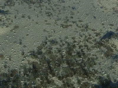 Marshland Swamp 3D model