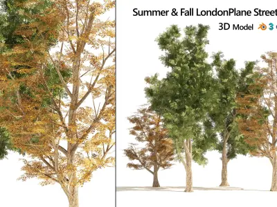 4 Summer and Fall Street london plane trees Low-poly 3D model