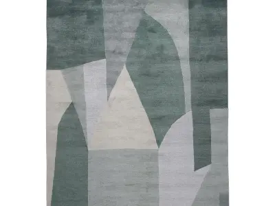  District Spruce RUG 3D model