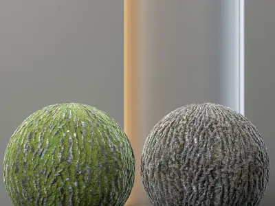 4 Tree bark and trunk vol 9 - 4k - pbr - tileable Texture