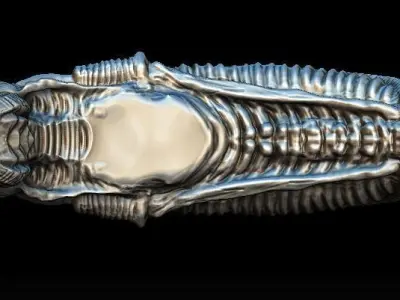 Alien warrior head  3D model