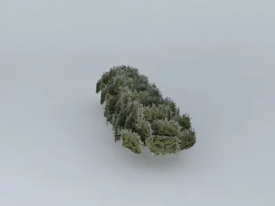 Street trees taquari Free 3D model