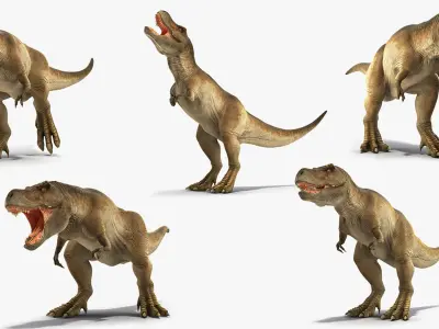  Animated Tyrannosaurus Rex Collection for Cinema 4D 