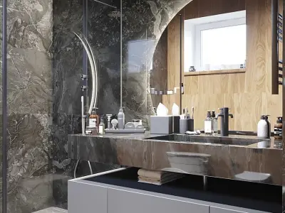 Toilet Black and White 3D Scenes 3D model