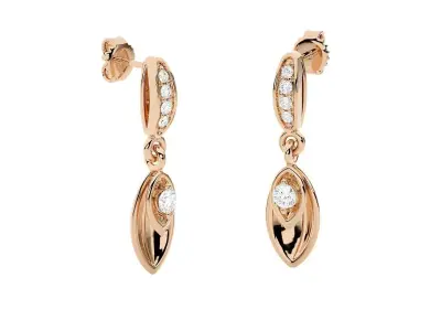 Light wt Women Diamond Earrings  3D print model