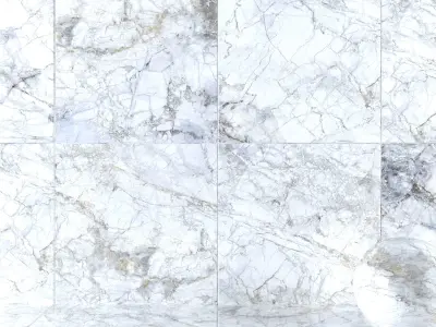 Wall Tiles Museums Supreme White 120x120 Texture
