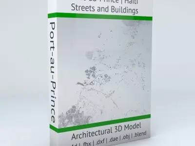 Port au Prince Streets and Buildings 3D model