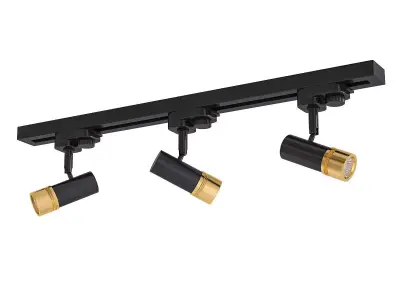 Del Kost 3D model