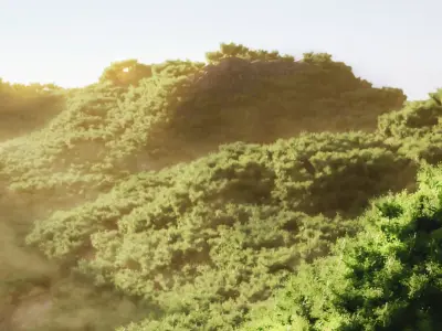 Wide Forest Scene 3D model