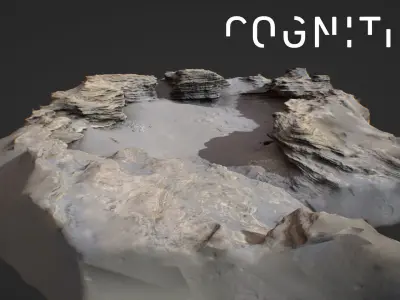 Iceland Tidal rocks 3D model