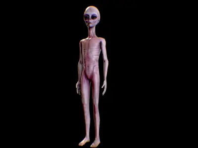 Realistic Alien 4 Grey Low-poly 3D model