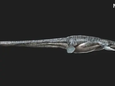  Elasmosaurus Rigged 3D 