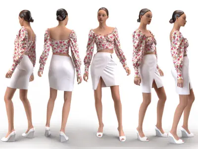 Dress and Skirt Free low-poly 3D model