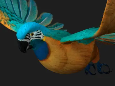 Parrot_A1