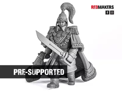 Royal Regiment - Officer of the Imperial Force 3D print model