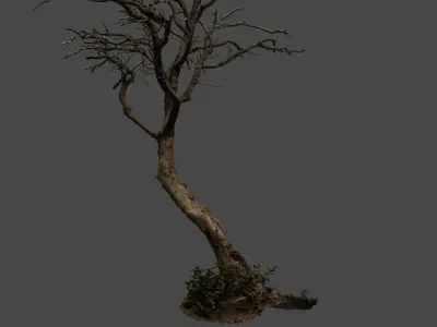 lapenatree2 3D model