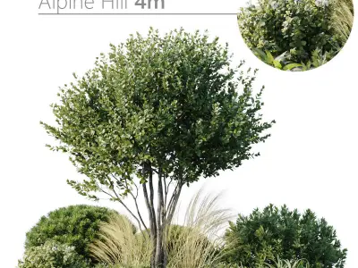 Outdoor Plants 3 3D model