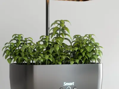 PLANTS IN DIGITAL VASE NO4 A 3D model