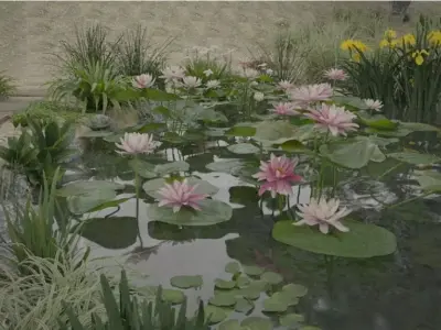 Aquatic Plant Landscape 3D model