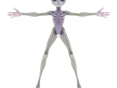 Alien Creature Gray model pack Low-poly 3D model