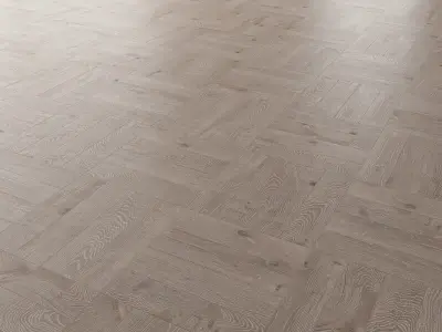  Parquet Oak Nordic NEW WWL set 4 3D model
