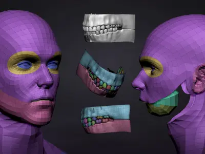  Male BaseMesh - Adam - ZTool 4R8 