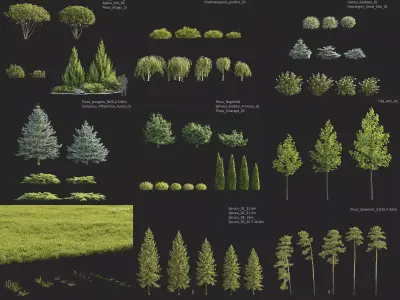 Plants Collection 1 3D model
