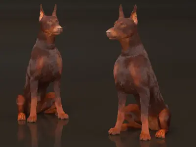  Brown Doberman Pinscher Sits Fur for Maya 