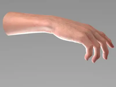  Realistic Male Hand Rigged 