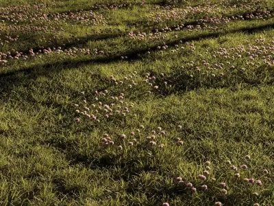 Grass and clover plantation 3D model
