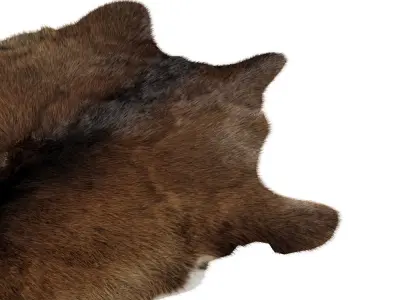 Animal skin rug 15 3D model
