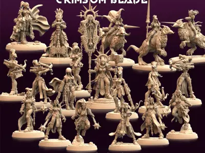 Daughters of the Crimsom Blade - Crusader 3D print model