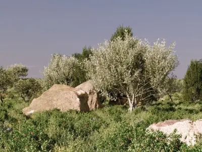 Maquis Shrubland Scatter - Archviz Asset 3D model