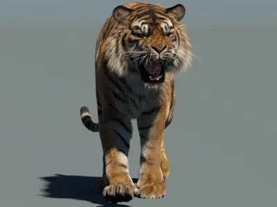  Big Cat 3D Model Rigged Animated Fur 