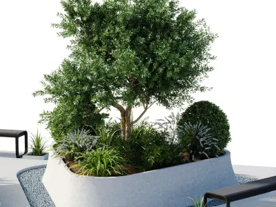 Outdoor Plants - 2 town Square 3D model
