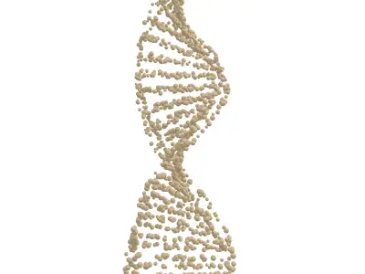 DNA Molecule v4 004 3D model