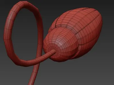 Attributed to Arredoluce 3D model